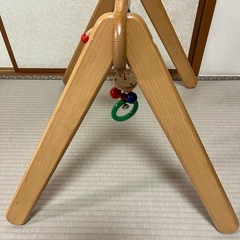 セレクタ社　ムジーナの画像