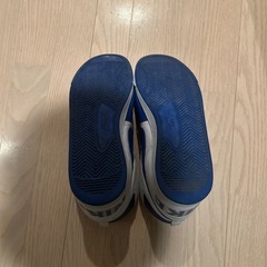 NIKE ターミネーター　　　　の画像