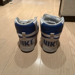 NIKE ターミネーター　　　　の画像