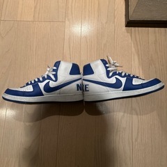NIKE ターミネーター　　　　の画像