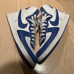 NIKE ターミネーター　　　　の画像