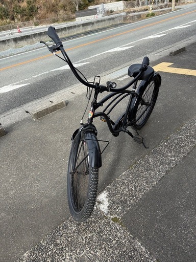 レインボービーチクルーザー (キャッピー) 石生のマウンテンバイクの