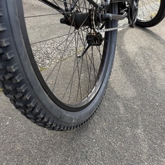 レインボービーチクルーザー の画像