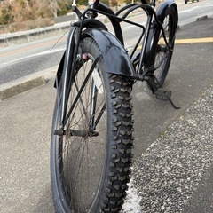 レインボービーチクルーザー の画像