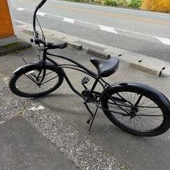 レインボービーチクルーザー の画像