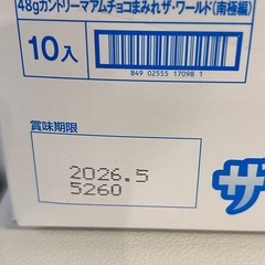 期間限定　不二家 カントリーマアム チョコまみれ ザ・ワールド（南極編）10個入り の画像