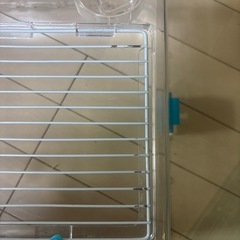 小動物用飼育セットの画像