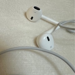 appleイヤフォンの画像