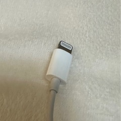 appleイヤフォンの画像