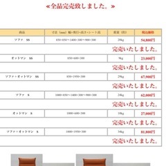 フランスベッド Lifit ライフィット の画像