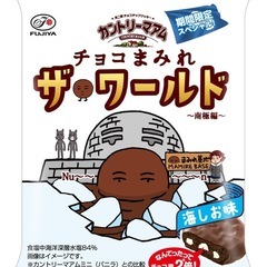期間限定　不二家 カントリーマアム チョコまみれ ザ・ワールド（南極編）10個入り の画像