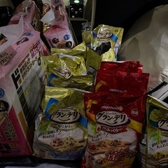 犬のエサとペットシートセット
の画像