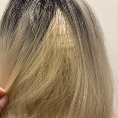 プリン風金髪ウィッグの画像