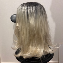 プリン風金髪ウィッグの画像