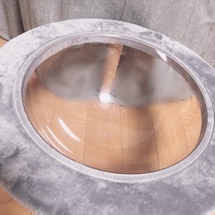 猫★宇宙船★透明ベッド★ペットベッドの画像