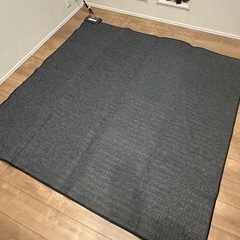 ホットカーペットの画像