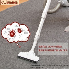 ホットカーペットの画像