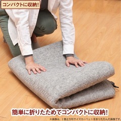 ホットカーペットの画像