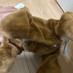 ココ、逆立ちして！動くぬいぐるみの画像