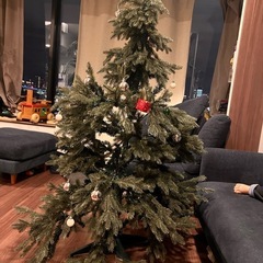 クリスマスツリーの画像