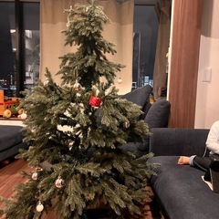 クリスマスツリーの画像