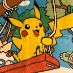 入手困難‼️ ポケモン　ホットカーペット　ラグ　絨毯　電気カーペットの画像