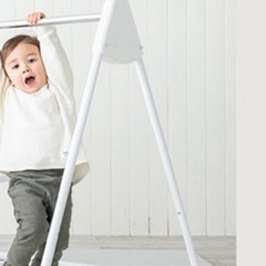 キッズパークジャングルジム ブランコ ノナカワールド の画像