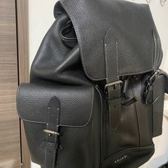 非対面取引可能coachリュックの画像
