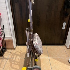 (23日までの限定出品)簡易シルバーカー(中古品)の画像