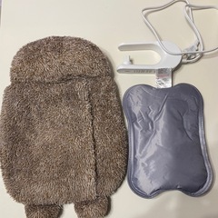 2025年購入！ペット用　湯たんぽ　ハリネズミ　の画像