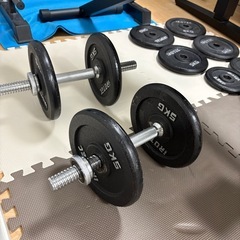 ぶら下がり健康器とダンベルベンチの画像