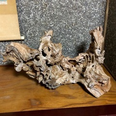 木の根　置物　インテリア　オブジェ　ディスプレイ　天然木　1点物　アクアリウム　木工芸　アンティークの画像