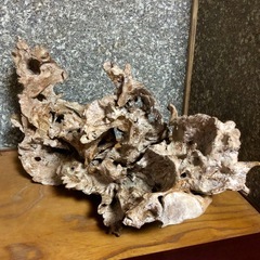 木の根　置物　インテリア　オブジェ　ディスプレイ　天然木　1点物　アクアリウム　木工芸　アンティークの画像