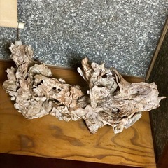 木の根　置物　インテリア　オブジェ　ディスプレイ　天然木　1点物　アクアリウム　木工芸　アンティークの画像