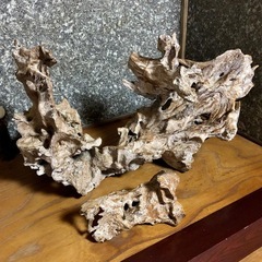 木の根　置物　インテリア　オブジェ　ディスプレイ　天然木　1点物　アクアリウム　木工芸　アンティークの画像