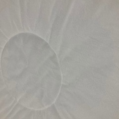 サニーマット　PUPPAPUPOの画像