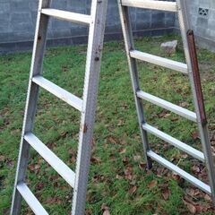 脚立 7段の画像
