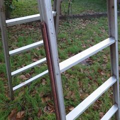 脚立 7段の画像