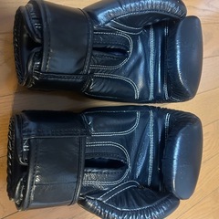 ボクシンググローブの画像