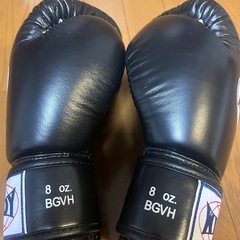 ボクシンググローブの画像