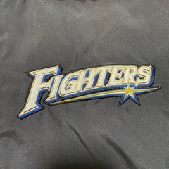 実使用 支給品 北海道日本ハムファイターズ ウエア NPB ミズノプロ Oサイズの画像