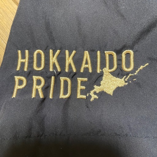 実使用 支給品 北海道日本ハムファイターズ ウエア NPB ミズノプロ Oサイズ 実使用 支給品 北海道日本ハムファイターズ ウエア NPB ミズノプロ Oサイズ