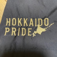 実使用 支給品 北海道日本ハムファイターズ ウエア NPB ミズノプロ Oサイズの画像