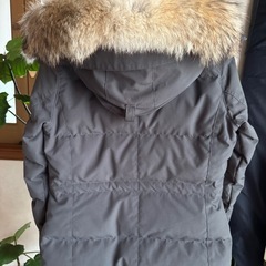 ★美品★カナダグース チェルシーパーカ、ダウンジャケット (レディース)ダークグレーの画像