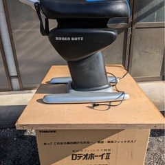 ロデオボーイIIの画像