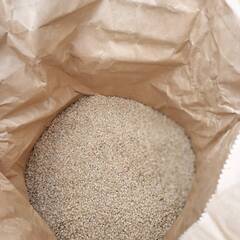 新米 令和7年度産 低農薬で育てた コシヒカリ100％ 新米 30Kg 精米 、配達も可能です【数量限定】の画像