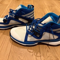 バスケットボールシューズの画像