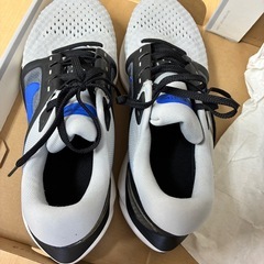 ナイキNIKE エア ズーム ボメロ 16 DA7245-001 27cmの画像