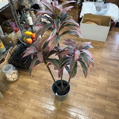 お部屋のアクセント　フェイク観葉植物の画像