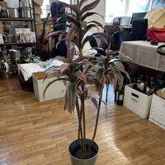 お部屋のアクセント　フェイク観葉植物の画像